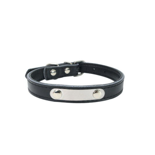 Kundenspezifische dauerhafte Hundehalsringe mit Edelstahl-Namensschild