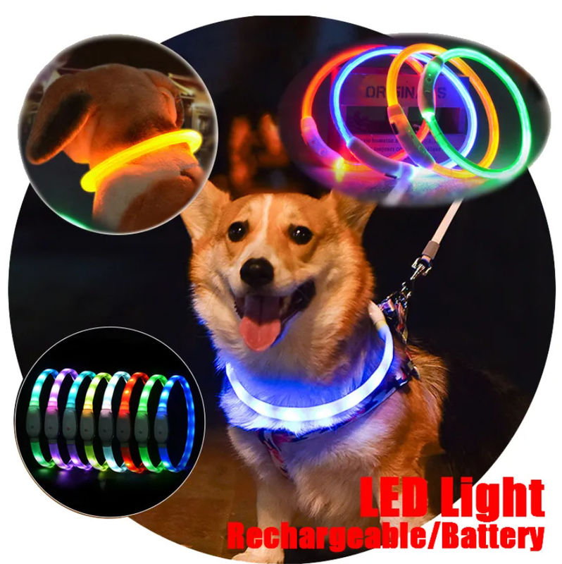 Ausbildender lederner bunter LED blinkender Welpen-Kragen der Hundehalsring-